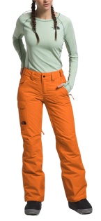 Product photo of The North Face Freedom Insulated - Women's