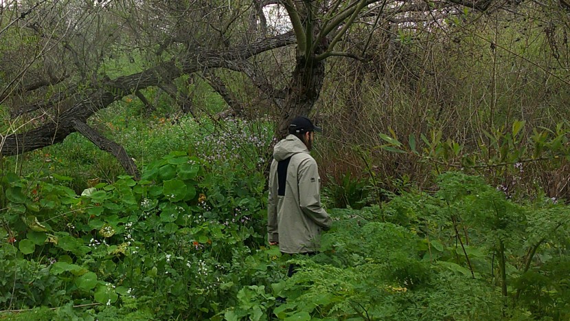 outdoor research foray super stretch - despite its mobility and light feel, the super stretch has no...