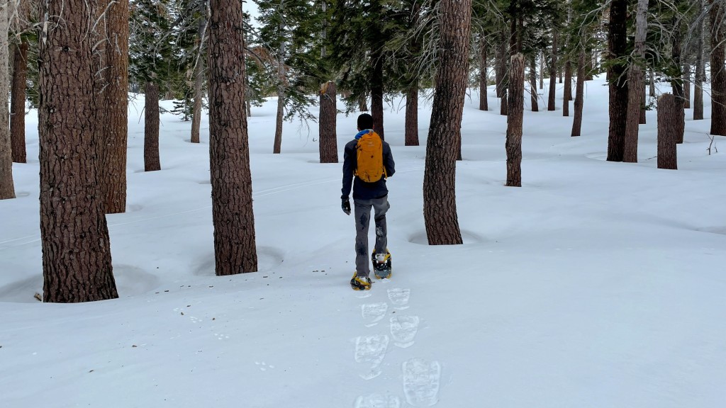 atlas montane - headed into deeper snow? the montane is a great option to keep you...