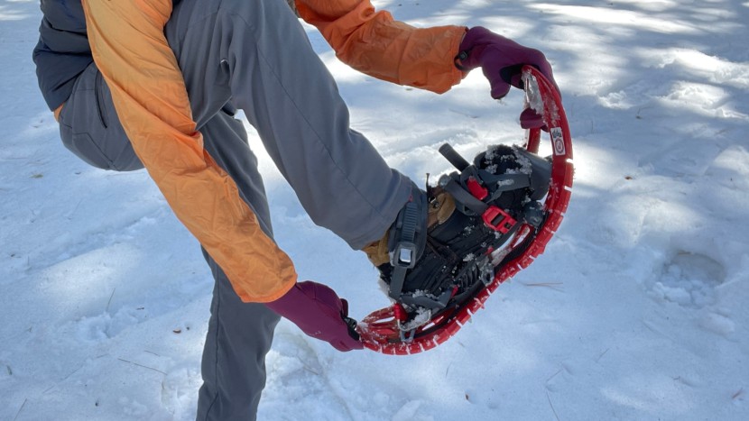 snowshoes - the crazy flexible deck of the symbioz.