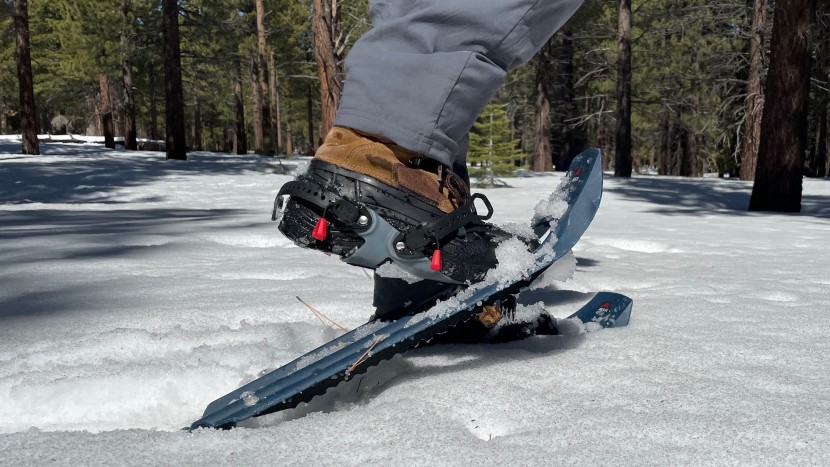 snowshoes - in late winter and early spring snow can firm in the morning and...