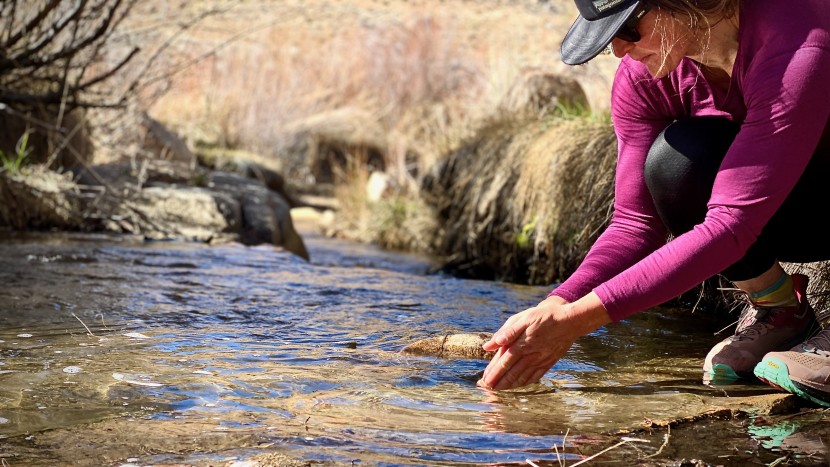 base layer womens - though available for a fraction of the cost, the roman trail merino...