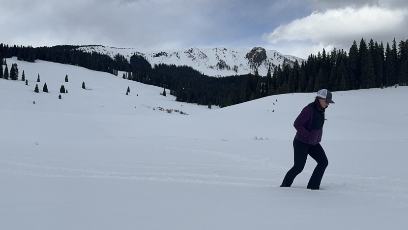 fleece jacket womens - whether worn as a stand alone piece or layered within your cold...