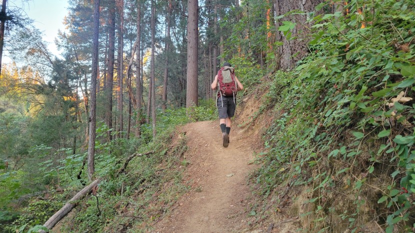 hiking socks - danish endurance socks are designed for three-season comfort...