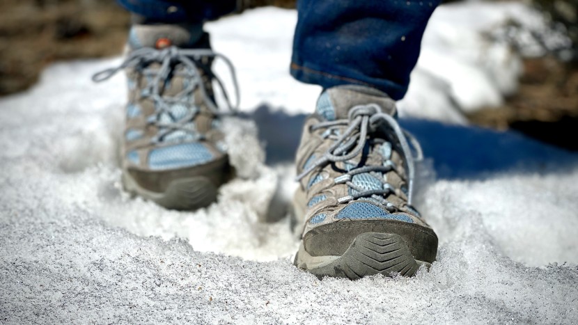 though the mesh and leather upper took on a bit of moisture when...