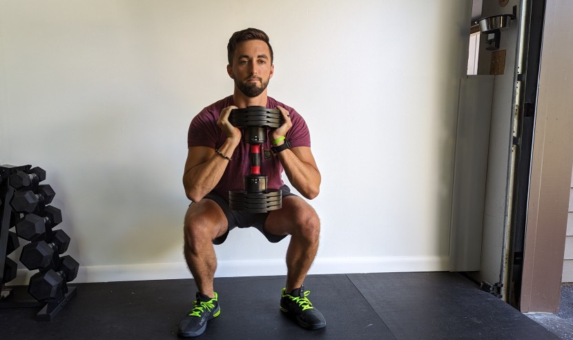 the core adjustable set are great for goblet squats.