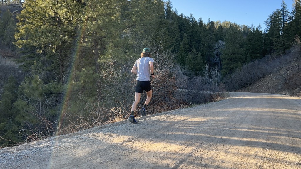 salomon pulsar trail pro 2 - the salomon pulsar pro trail 2 is a good model for gravel roads and...