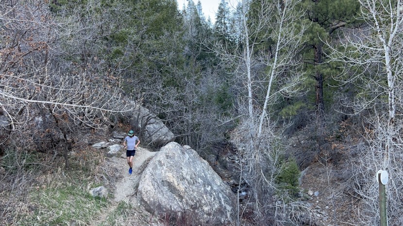 salomon pulsar trail pro 2 - when tackling easier trails and wanting a sensation of speed...