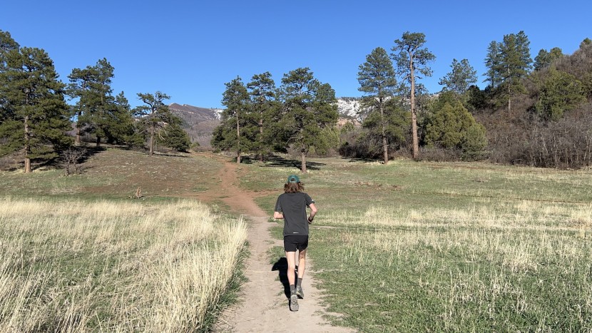 la sportiva wildcat - the la sportiva wildcats large heel and dense cushioning lead to an...