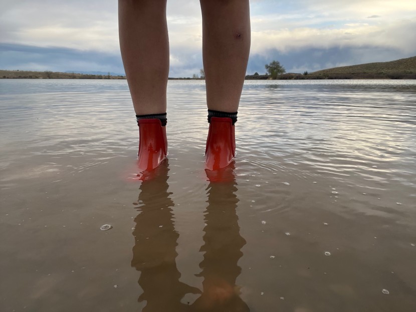 bogs holly chelsea - our review features boots ranging from 4-17 inches of flood height...