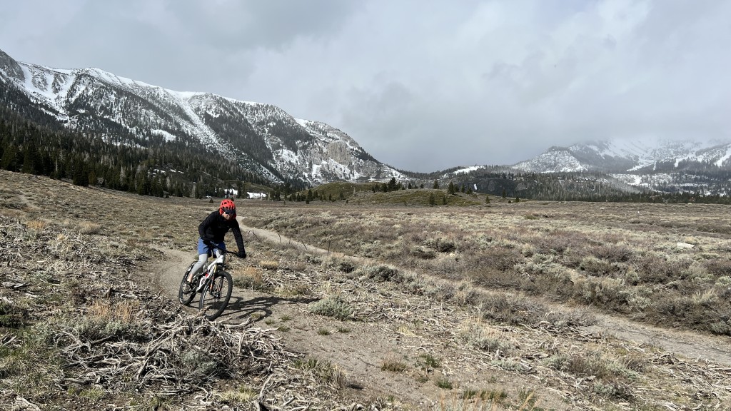 patagonia dirt roamer - the dirt roamer is great for hitting the trails in questionable...