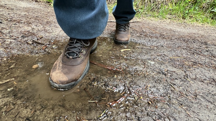 timberland white ledge mid waterproof - waterproof enough to walk through muddy trails where mud puddles...