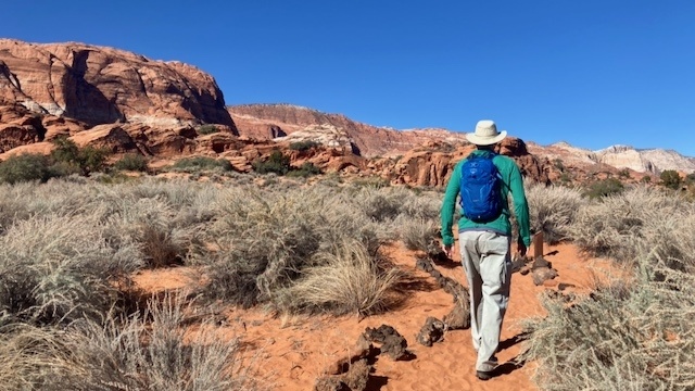 hydration pack - with so many great packs on the market, you'll want to find the one...