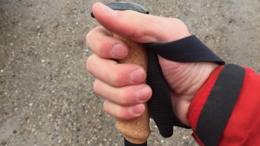 black diamond alpine carbon cork - the alpine carbon has comfortable cork handles and padded straps.