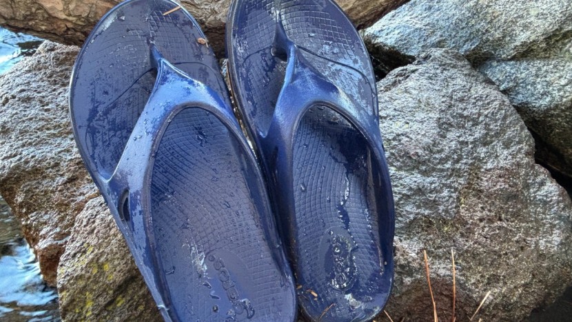 flip flops - the oofos ooriginal is one of the most comfortable women's flip flop...