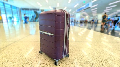 Product photo of Samsonite Freeform Large Spinner