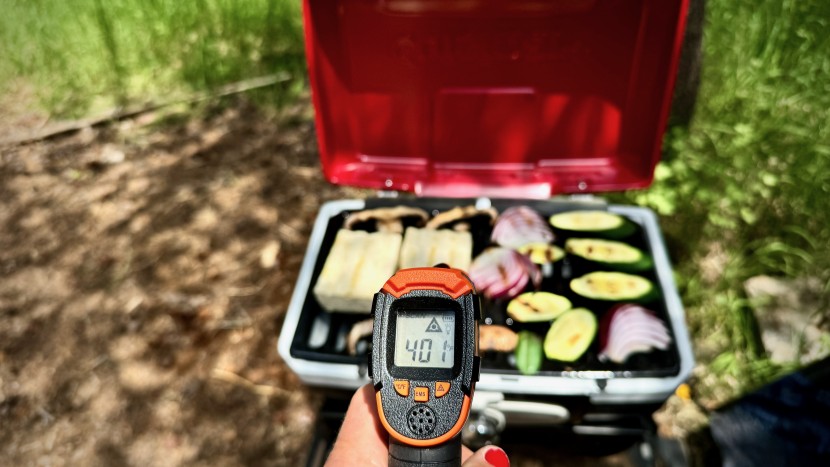 while this grill doesn't offer the most output power that we tested...