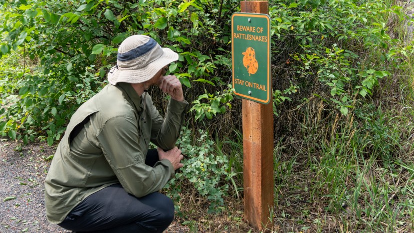 sun shirt men - the columbia silver ridge utility lite has excellent coverage and uv...
