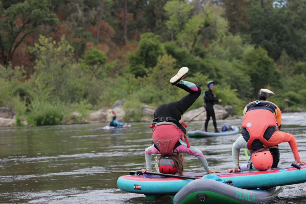 astral loyak for women - we are head over heels for the loyaks, a perfect companion for any...