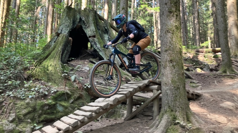 mountain bike shorts womens - having a short that moves with your body is more comfortable than...