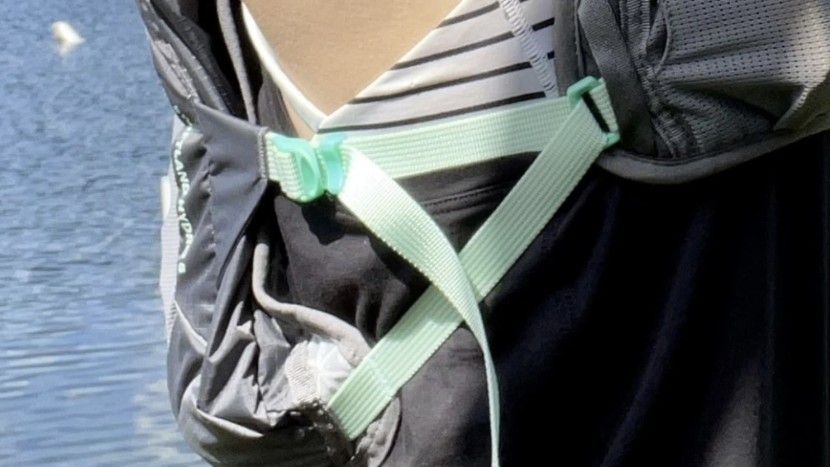 elasticized bungees and compression straps a the sternum and torso...