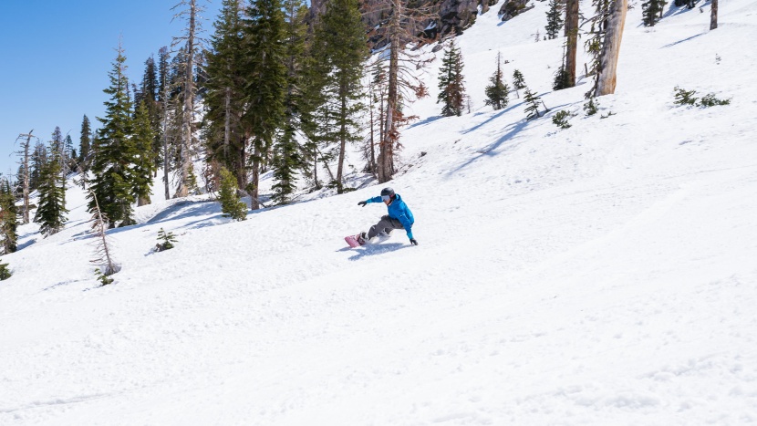 yes standard uninc dc - in slush, hardpack, or powder, this board is fun to ride.