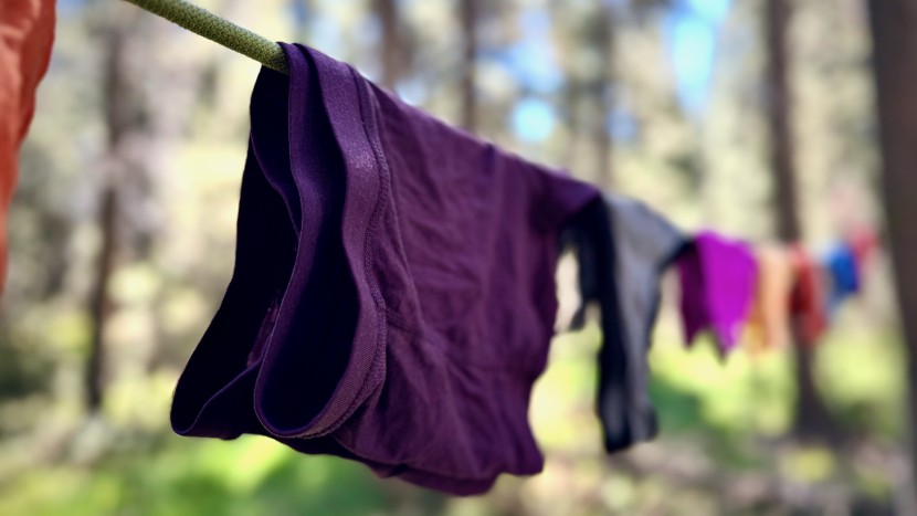 travel underwear womens - the ridge merino took around a full hour to line dry in our tests.