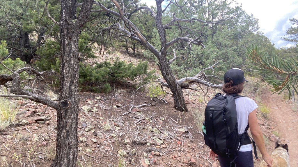 decathlon quechua mh100 for women - the quechua has a great balance of features without going over the...