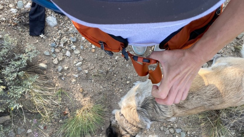 gregory jade 28l - you will want to double-check the gregory jade's hip belt, as it may...