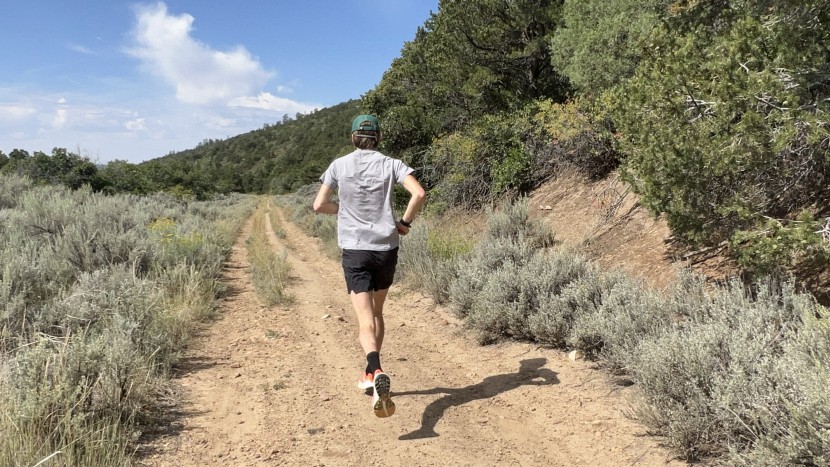 adidas terrex agravic speed ultra - with so much bounce, foam, and rocker, plus the carbon energy rods...