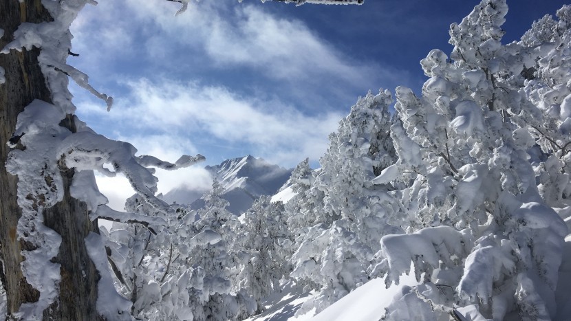 snowboard - winter playground.