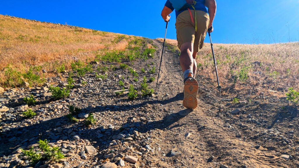 rei co-op sahara cargo short - high stepping up hill. we did notice that the saharas had less...