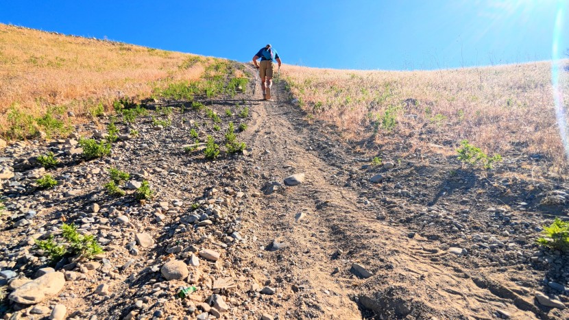 rei co-op sahara cargo short - straight up with no switchbacks in sight.