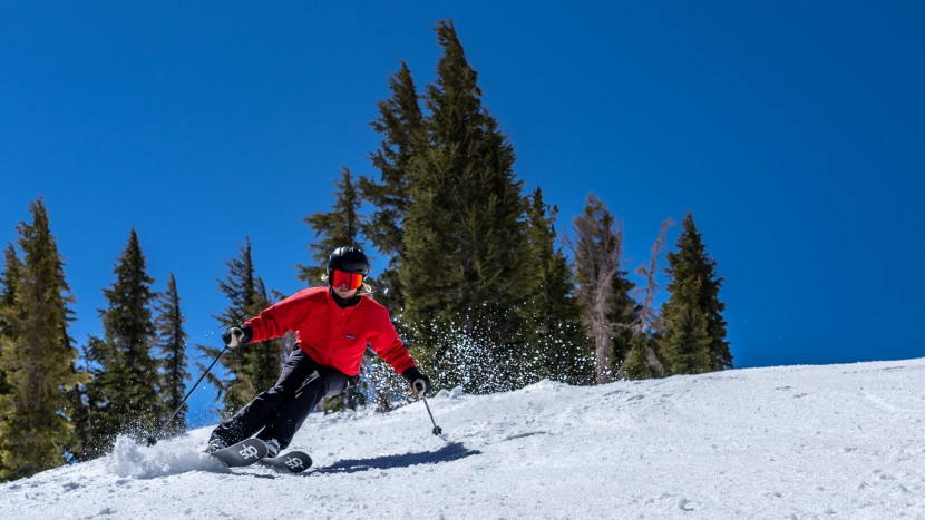 dps wailer 100 for women - although it would prefer to butter instead of slice, the wailer 100...