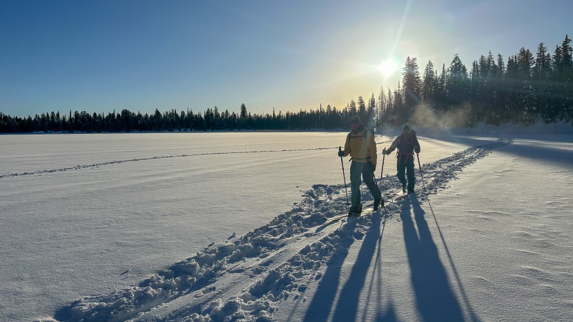 climbing skins - glide isn't the first thing you think of with skins, but it should...
