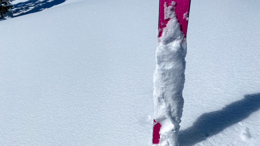 climbing skins - all skins ice up in the wrong conditions. newer skins, waxed skins...