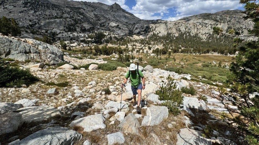 for a shoe that probably costs less than the gas to get you to the...