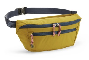 fanny pack