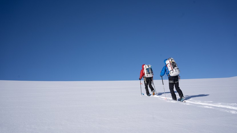 backcountry skis - uphill is the vast majority of your backcountry day. weight is all...