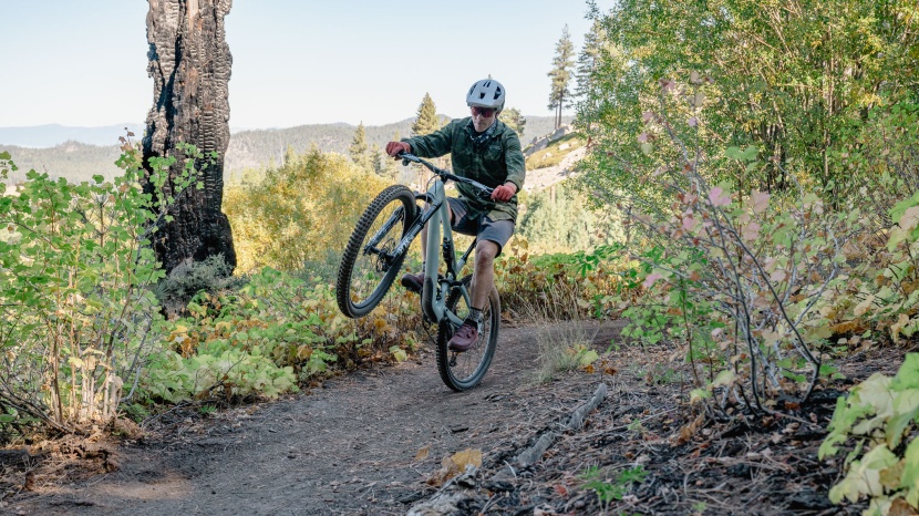 specialized stumpjumper 15 comp - the stumpjumper 15 is quick to transition from playful to slay-ful.