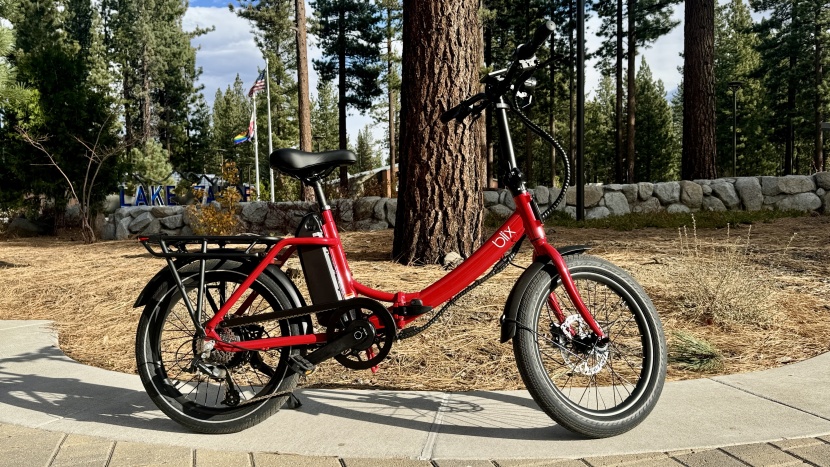 blix vika x - the vika x isn't the most handsome horse in the stable, but it sure...