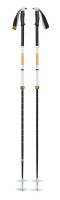 backcountry ski poles