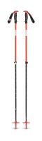 backcountry ski poles