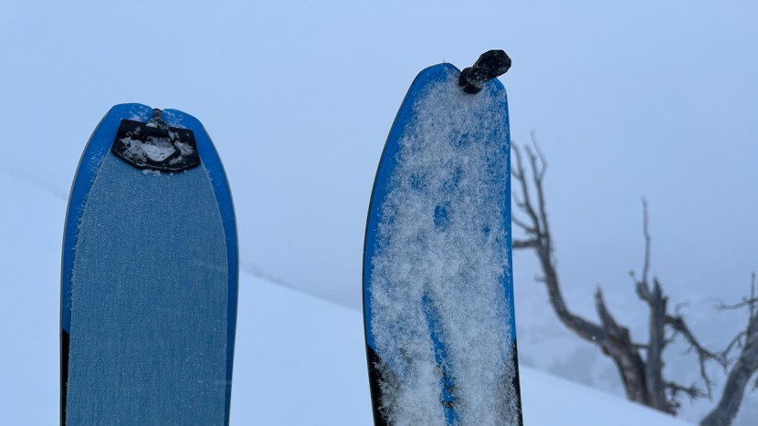 climbing skins - dynafit speedskins are designed with special tip and tail clips, and...
