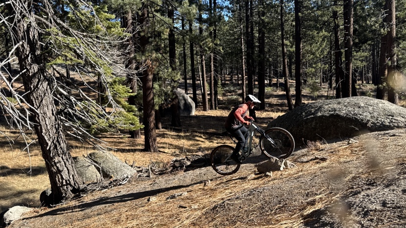 trail mountain bike - the trail doesn't always go down, and the stumpjumper 15 makes...