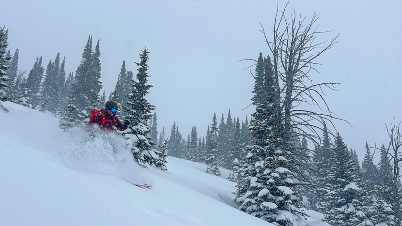 backcountry ski boots - among lightweight boots, the maestrale rs stands out for the...