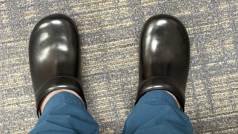 dansko professional - the black leather stays clean and wipes off easily.