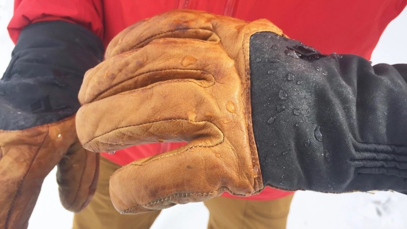 black diamond legend - the softshell fabric on the back of the glove, treated leather...