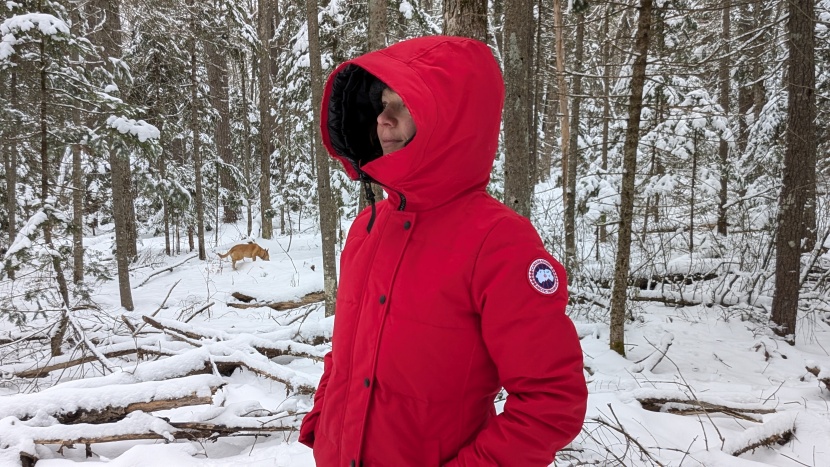 the canada goose shelburne looks great while giving us the...