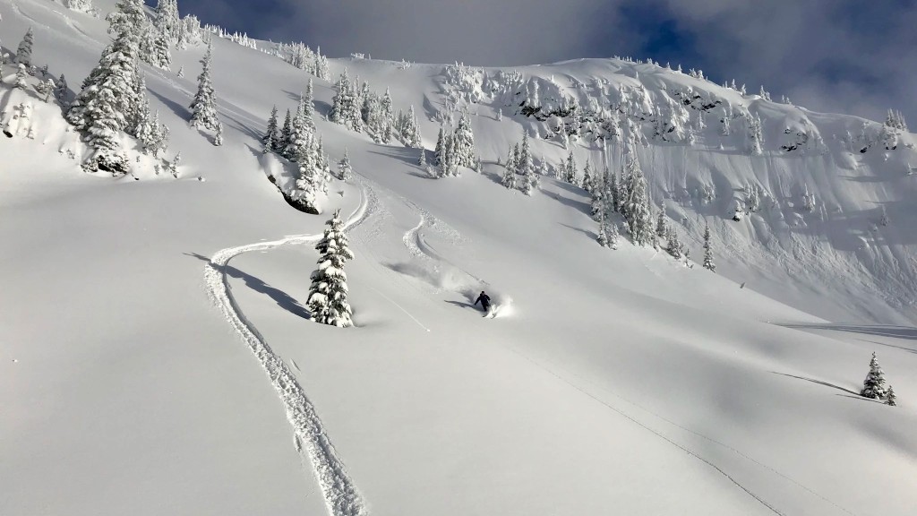 hardshell jacket - for skiing deep powder like we found near revelstoke on this fine...